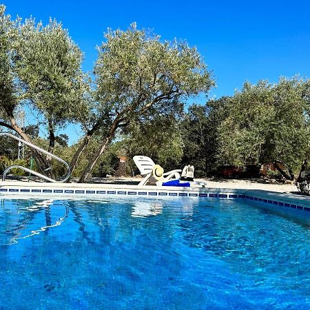 Refugio Andaluz Con Piscina Entre Olivos Villanueva de Tapia Ngoại thất bức ảnh