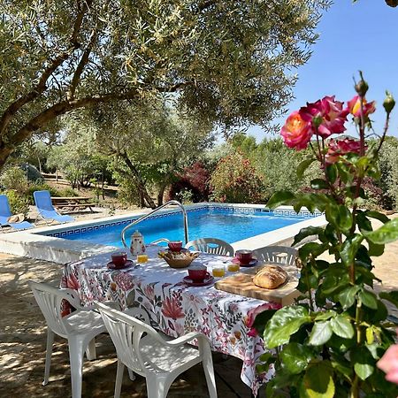 Refugio Andaluz Con Piscina Entre Olivos Villanueva de Tapia Ngoại thất bức ảnh