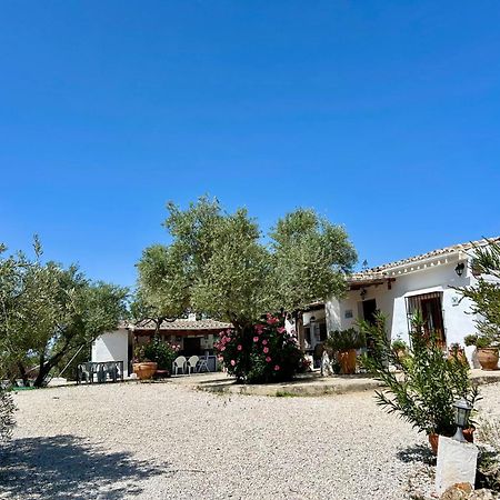 Refugio Andaluz Con Piscina Entre Olivos Villanueva de Tapia Ngoại thất bức ảnh