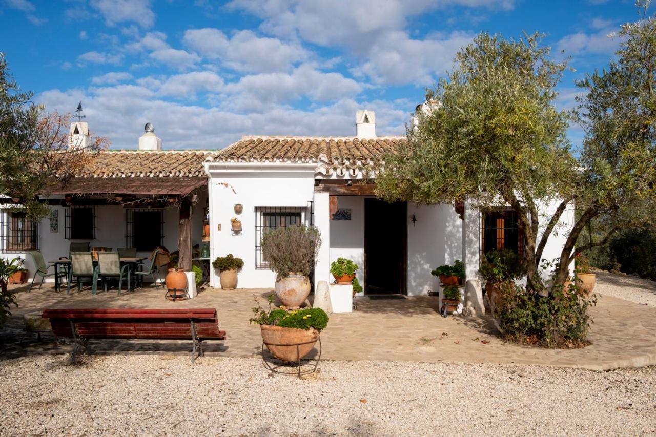 Refugio Andaluz Con Piscina Entre Olivos Villanueva de Tapia Ngoại thất bức ảnh