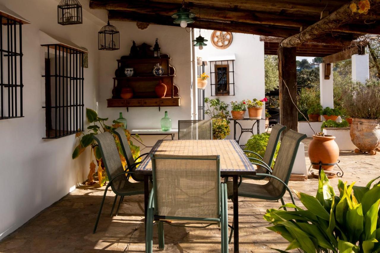 Refugio Andaluz Con Piscina Entre Olivos Villanueva de Tapia Ngoại thất bức ảnh