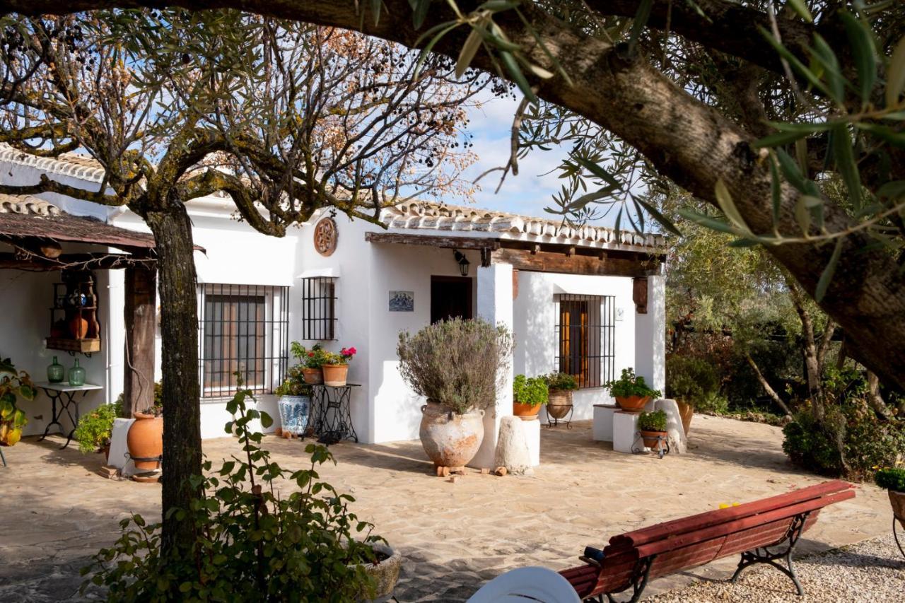 Refugio Andaluz Con Piscina Entre Olivos Villanueva de Tapia Ngoại thất bức ảnh