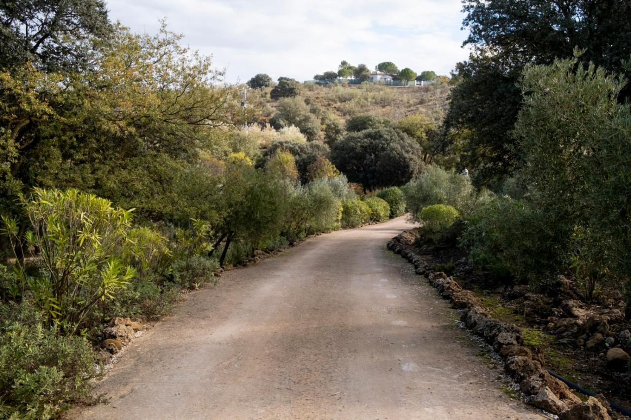Refugio Andaluz Con Piscina Entre Olivos Villanueva de Tapia Ngoại thất bức ảnh