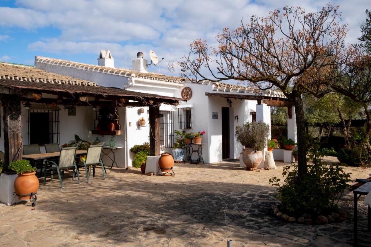 Refugio Andaluz Con Piscina Entre Olivos Villanueva de Tapia Ngoại thất bức ảnh