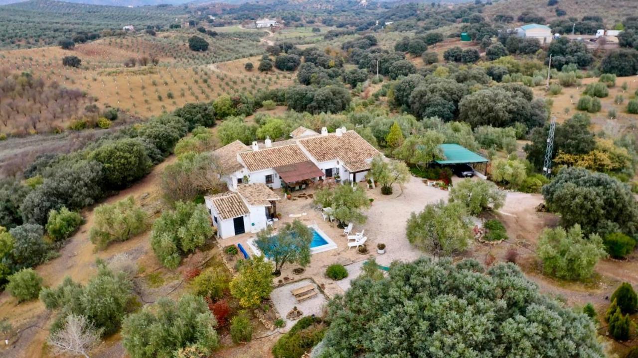 Refugio Andaluz Con Piscina Entre Olivos Villanueva de Tapia Ngoại thất bức ảnh