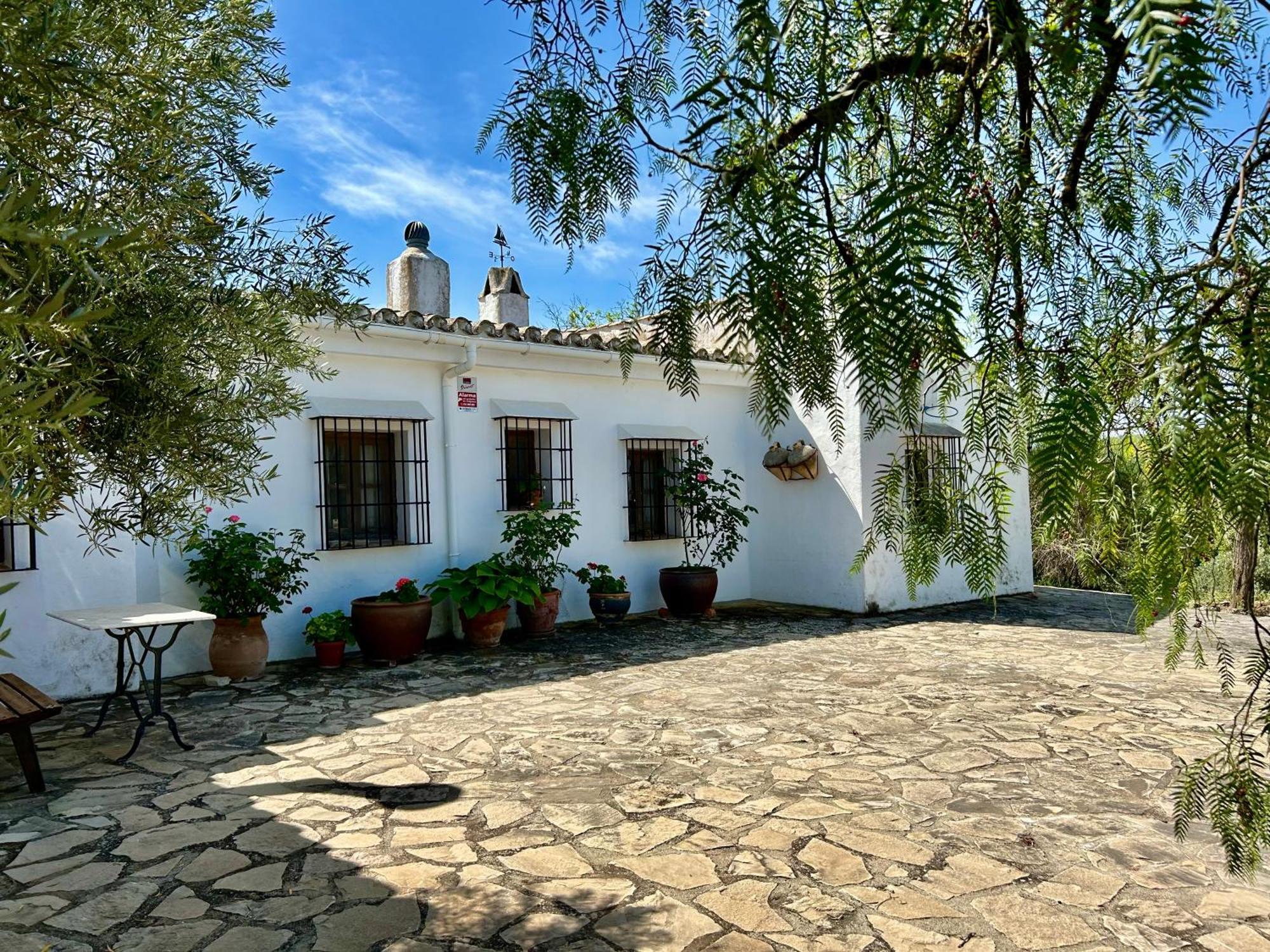 Refugio Andaluz Con Piscina Entre Olivos Villanueva de Tapia Ngoại thất bức ảnh